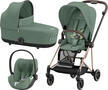 Kočárek CYBEX Set Mios Rosegold Seat Pack 2024 včetně Cloud T i-Size PLUS, leaf green - 1/7