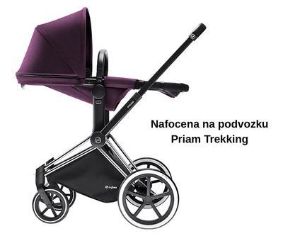 Kočárek CYBEX Priam All Terrain Chrome Seat 2v1 2018, princess pink - 2